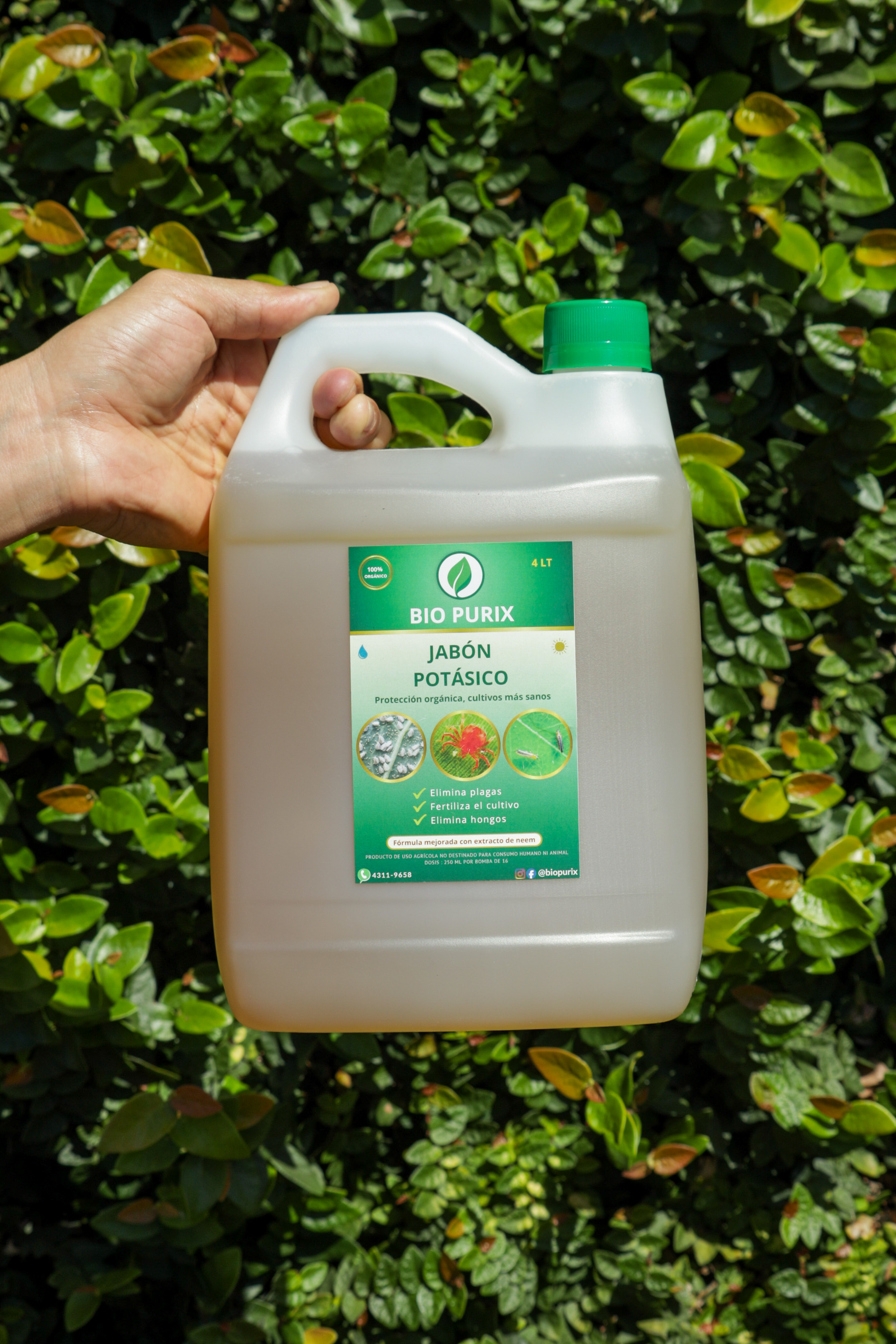 Jabón Potásico en campo