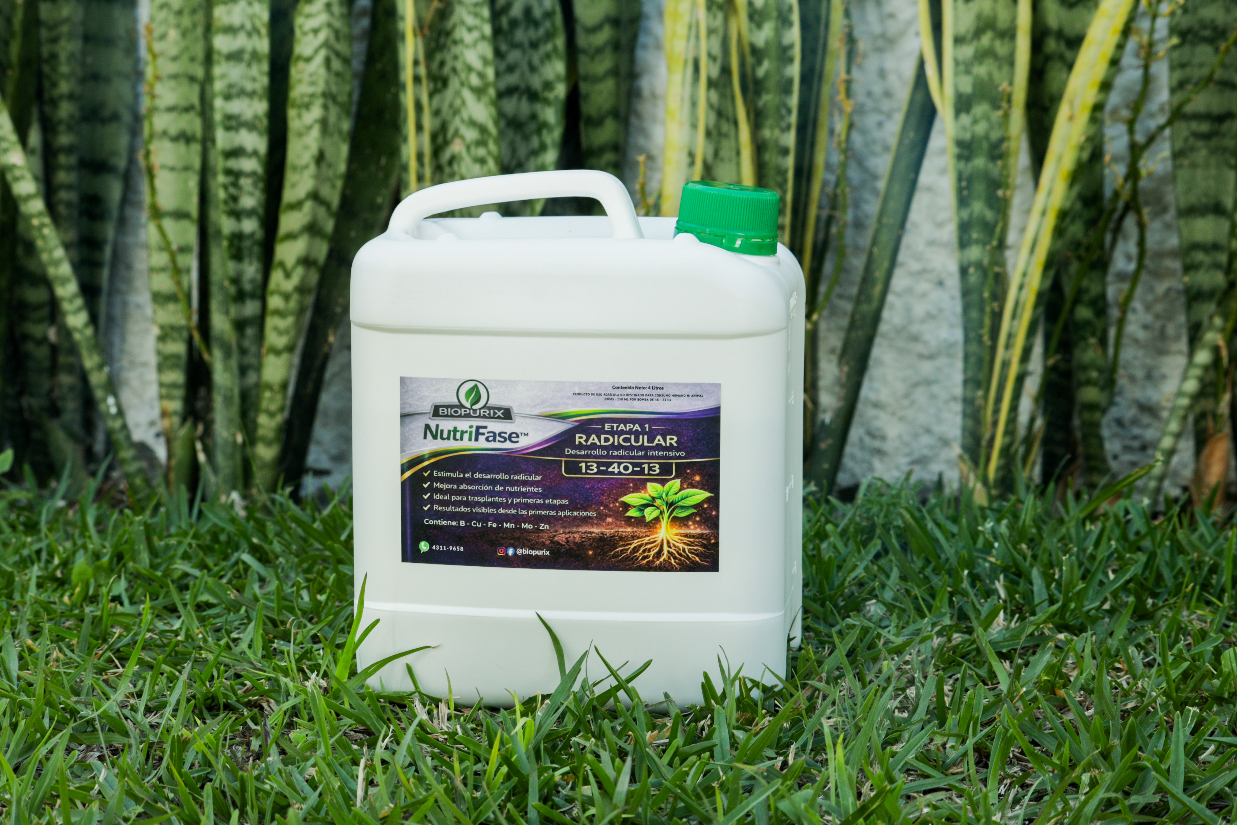 NutriFase protección corredor seco