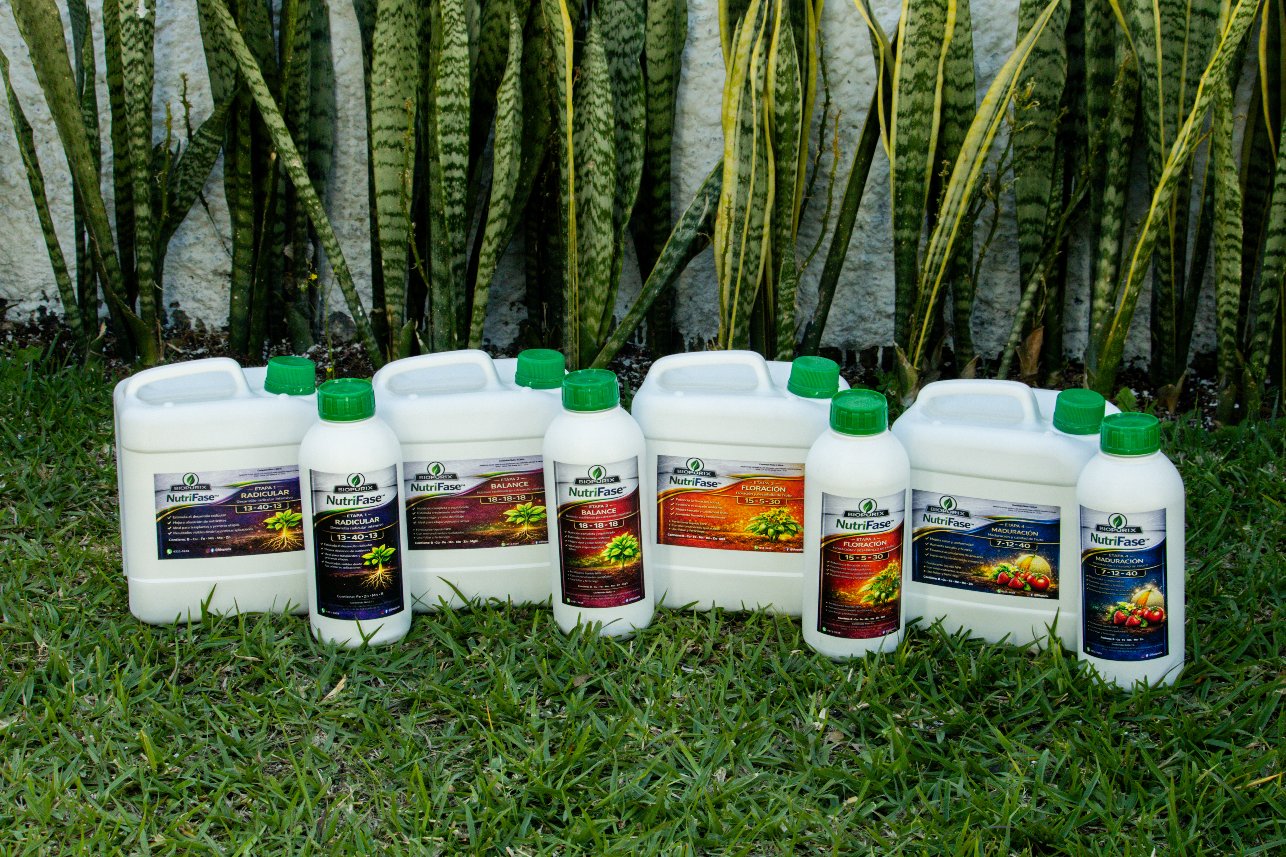 NutriFase sistema completo